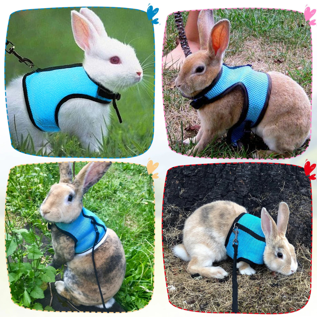 Coleira Peitoral Ajustável com Guia para Coelhos
