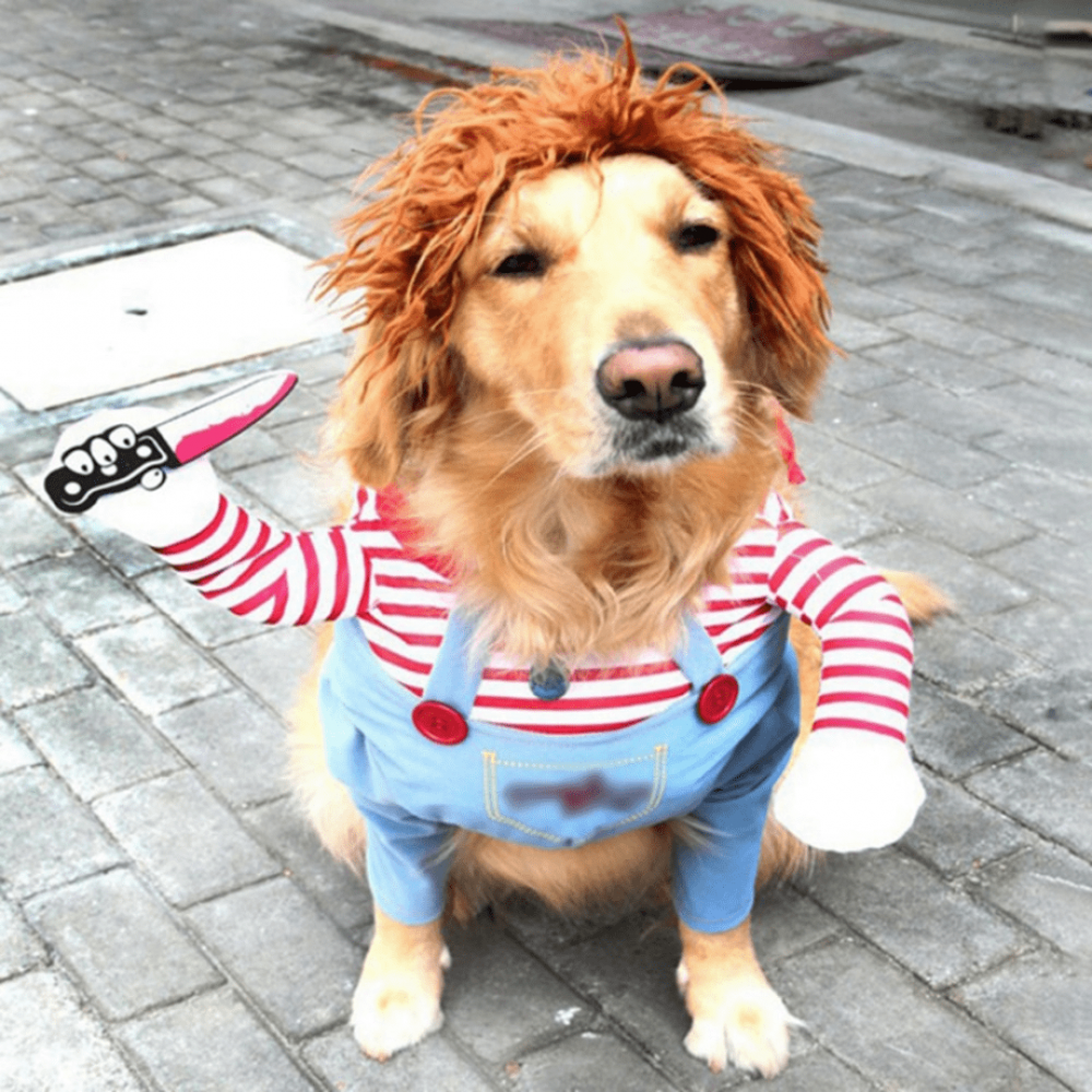 Fantasia Roupinha de Terror Chucky para Cães e Gatos