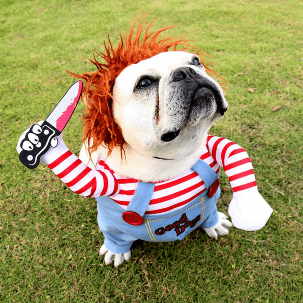 Fantasia Roupinha de Terror Chucky para Cães e Gatos